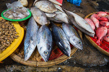 Sale of fish and seafood in market
