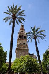 Obraz premium Mezquita de Cordoba