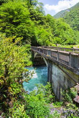 Fototapeta na wymiar Landscape in Abkhazia with stone bridge over river