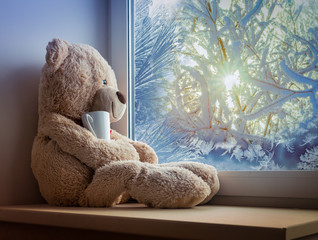 bear sitting and looking in the window with a cup