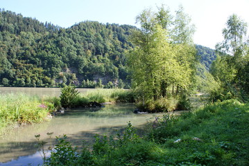 Biotop an der Donau