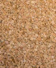 Texture the cork tree. Background. Cork Texture