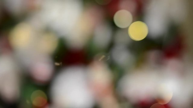Blurred lights and Christmas tree decoration
