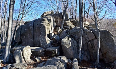 Naturaleza montañas bosques en el Monseny