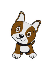 Dogs baby witty sweet