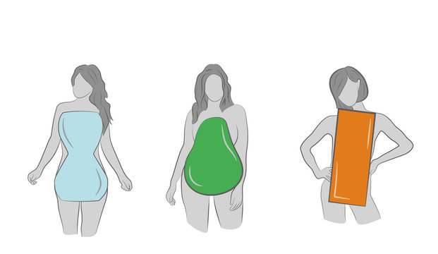 A set of female body types form - Apple / rounded, hourglass, rectangle, triangle / pear. vector illustration