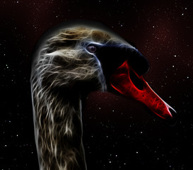 Naklejka premium Schwan