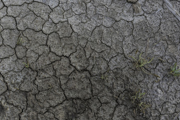 Land texture.
