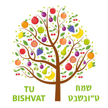 Tu Bishvat greeting card, poster. Jewish holiday, new year of trees. Tree with different fruits, fruit tree. Vector illustration