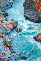 Fast mountain stream current blue among red rocks autumn