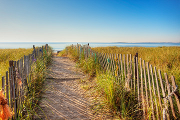 Obraz premium Boardwalk through the dunes on the Maine coast with colorful ropes tied on the fence