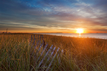 Morning sun on the dune grasses, Ocean Park, Maine