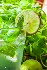 mohito, napój z miętą © liseu