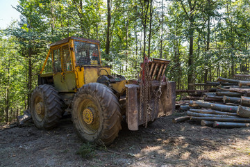 Industrial tractors for transporting trees