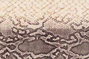 Texture of genuine leather close-up, embossed under the skin  a reptile, beige-brown color,...