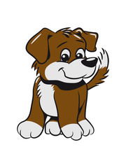 Dogs baby cute small