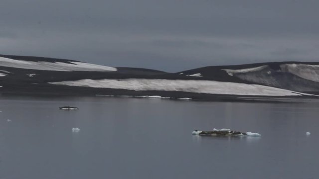 Franz-Josef Land. Glaciers and snowbanks Payer Isl. American Strait. Floating floes with walruses. Such saw strait Ziegler (Fiala) expedition to North pole 1903
