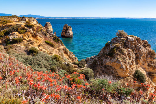 Beautiful Algarve coast with flowers near Lagos Portugal