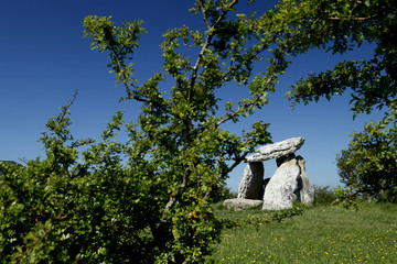 Dólmen de Sorginetxe, Alava, País Vasco, España © Tomas