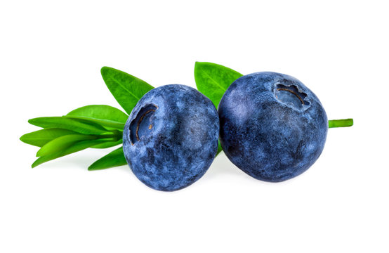 two blueberries with green leaf isolated on white in close up