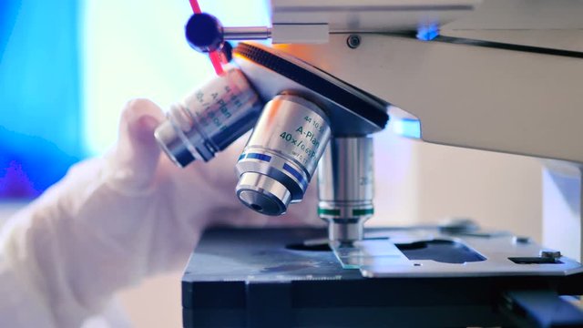 Laboratory worker adjusts the zoom microscope.