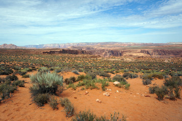 Colorado-Plateau am Horseshoe Bend
