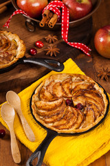 Cast Iron Skillet Apple Cake. Selective focus.