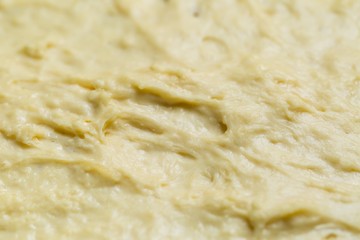 Raw yeast cake growing in bowl
