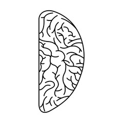 human brain organ isolated icon vector illustration design