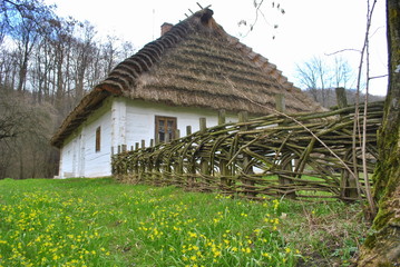Wiejski dom na Podkarpaciu