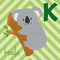 Cute cartoon zoo illustrated alphabet with funny animals: K for Koala. English alphabet. Learn to read. Isolated Vector illustration.