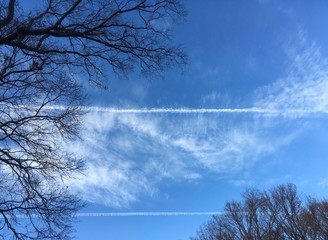 winter cirrus clouds between parallel contrail clouds