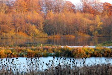 Autumn and winter clad landscape at the lake