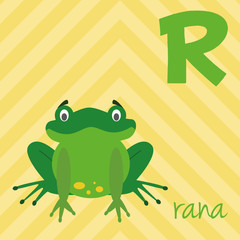 Cute cartoon zoo illustrated alphabet with funny animals. Spanish alphabet: R for Rana. Learn to read. Isolated Vector illustration.