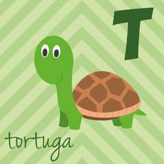 Cute cartoon zoo illustrated alphabet with funny animals. Spanish alphabet: T for Tortuga. Learn to read. Isolated Vector illustration.