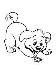 Dog baby cute ladybug