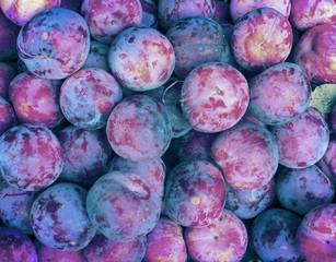 Beautiful purple plum