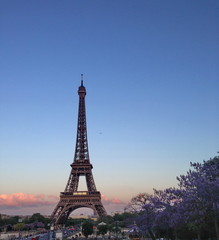 Fototapeta na wymiar Eiffel tower with pink sky