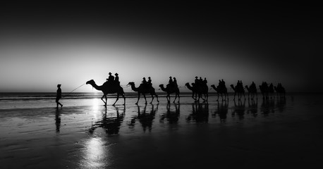 Camel Train at Sunset