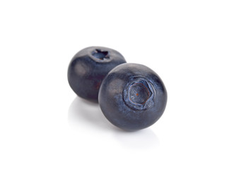 Blueberries on white background