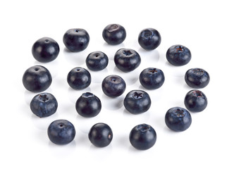 Blueberries on white background