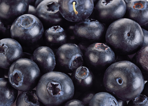 Fresh Blueberries, macro