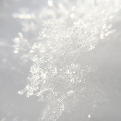 Fototapeta premium snowflakes close-up on white glitter bokeh background