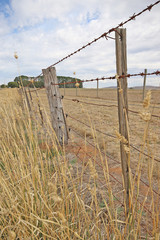 a barbed wire fence and old grey fence posts around a rural Australian paddock