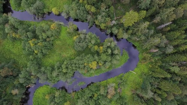 The aerial shot of the green trees in the forest with the V shape river in the middle of the trees