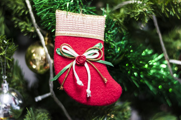  Christmas socks hanging on a Chrismas tree.