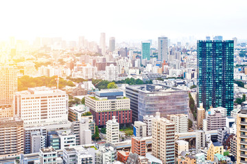 Asia Business concept for real estate and corporate construction - panoramic modern cityscape building bird eye aerial view from tokyo tower under sunrise and morning blue bright sky in Tokyo, Japan