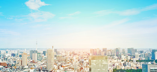 Asia Business concept for real estate and corporate construction - panoramic modern cityscape building bird eye aerial view of skytree under sunrise and morning blue bright sky in Tokyo, Japan