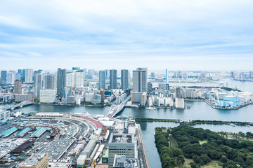 Fototapeta na wymiar Business and culture concept - panoramic modern city skyline bird eye aerial view of Odaiba bay and bridge under dramatic morning blue cloudy sky in Tokyo, Japan