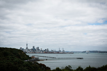 Auckland skyline
